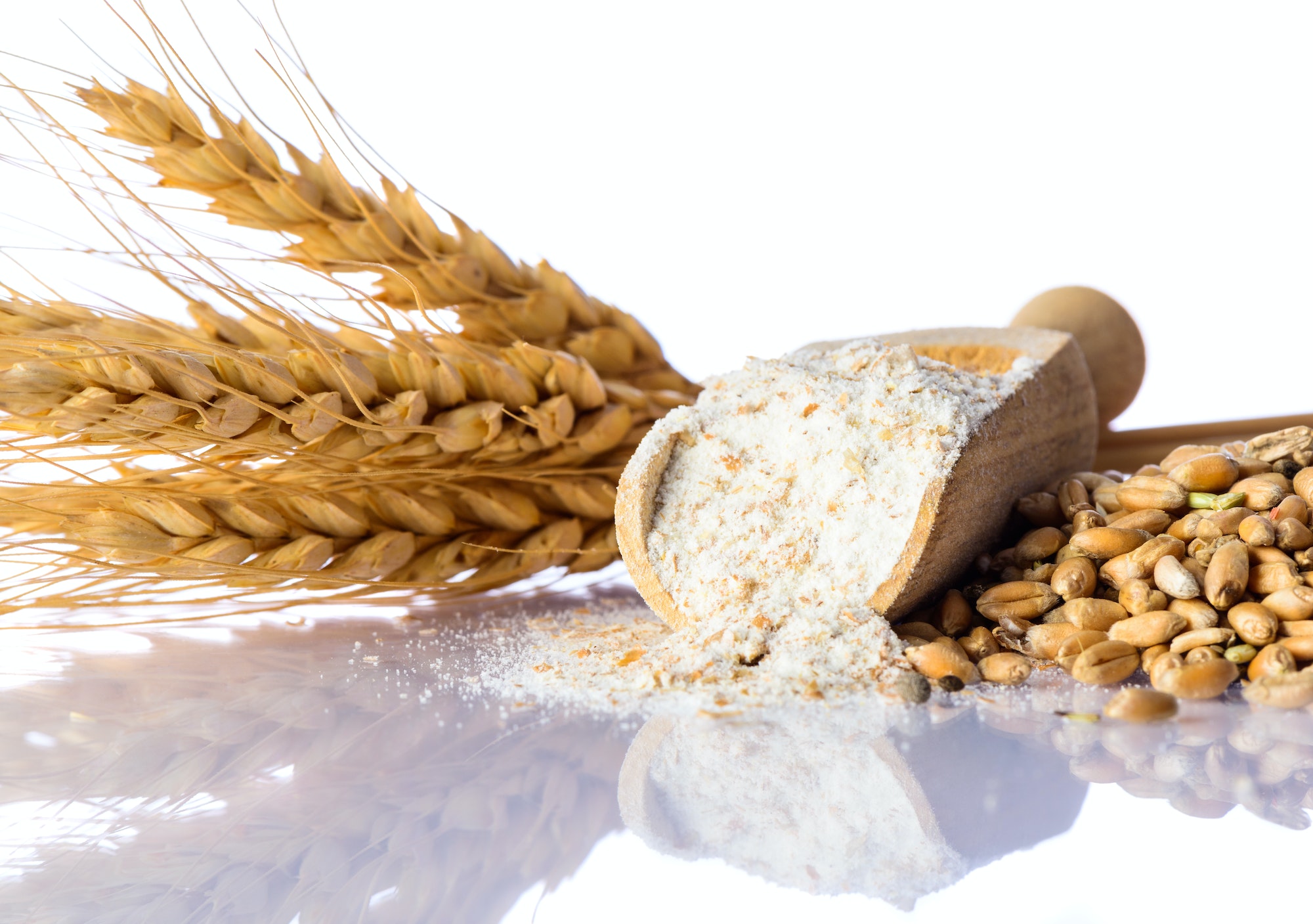 Flour, Wheat and Cereal Grain